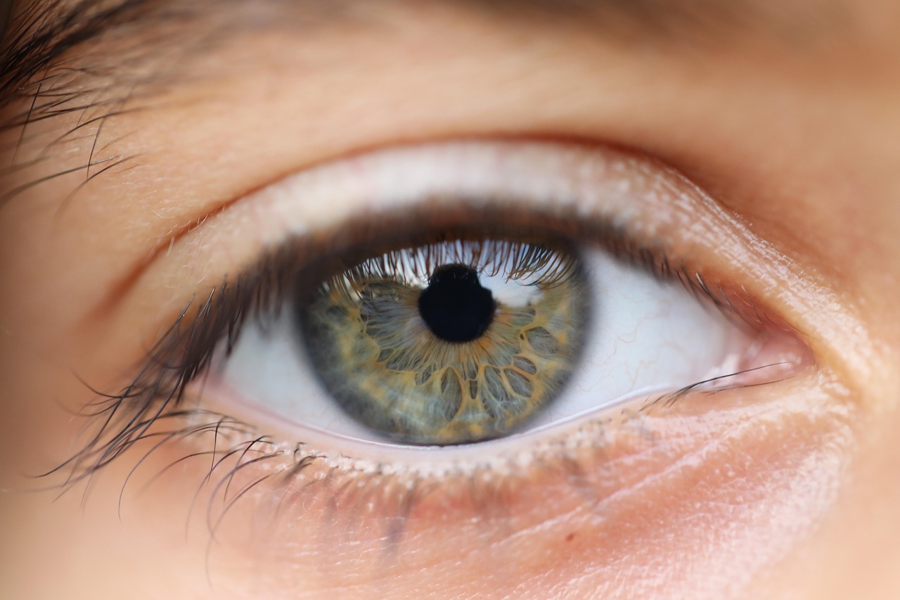 macro eye computer vision